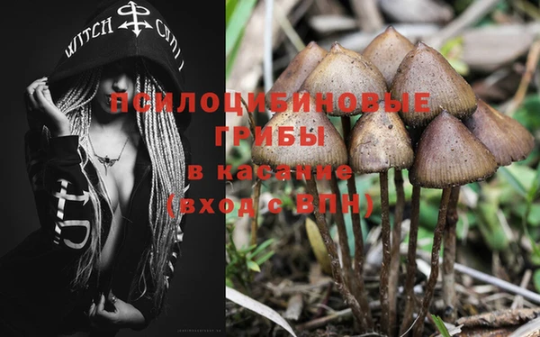 таблы Елизово