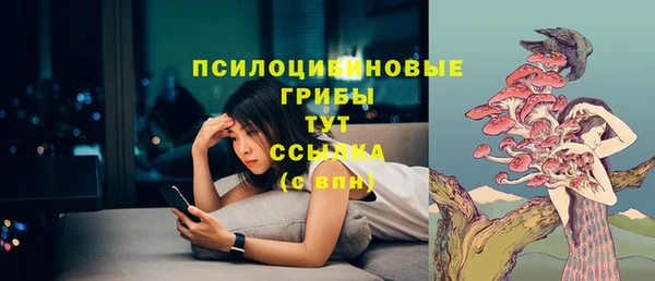 таблы Елизово