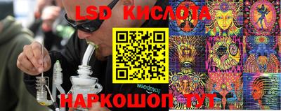 дживик Бийск
