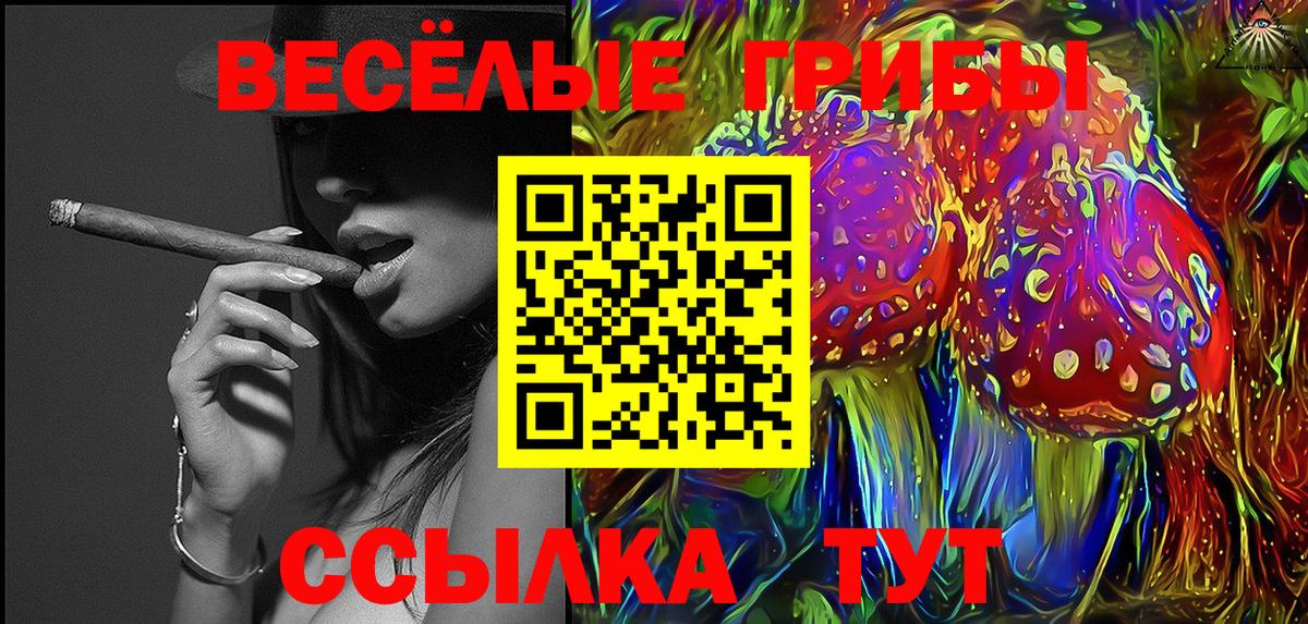 Псилоцибиновые грибы Psilocybine cubensis  Вход с VPN  Галлюциногенные грибы мицелий  магазин продажи   Каменск-Шахтинский 